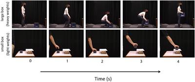 Does that look heavy to you? Perceived weight judgment in lifting actions in younger and older adults